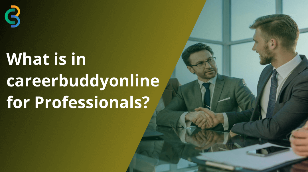 What is in careerbuddyonline for Professionals?